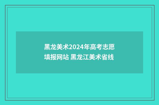 黑龙美术2024年高考志愿填报网站 黑龙江美术省线