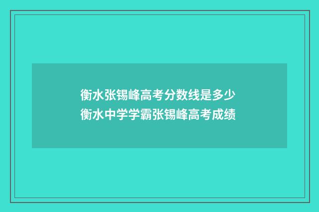 衡水张锡峰高考分数线是多少 衡水中学学霸张锡峰高考成绩