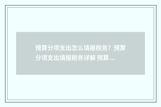 预算分项支出怎么填报税务？预算分项支出填报税务详解 预算会计项目支出