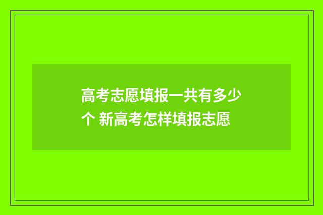 高考志愿填报一共有多少个 新高考怎样填报志愿