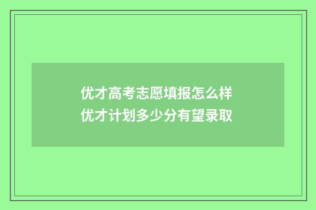 优才高考志愿填报怎么样 优才计划多少分有望录取