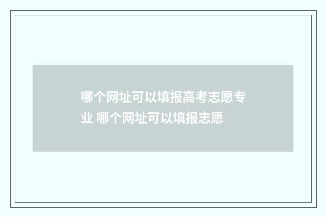 哪个网址可以填报高考志愿专业 哪个网址可以填报志愿