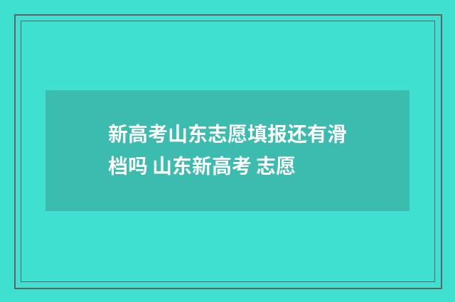 新高考山东志愿填报还有滑档吗 山东新高考 志愿