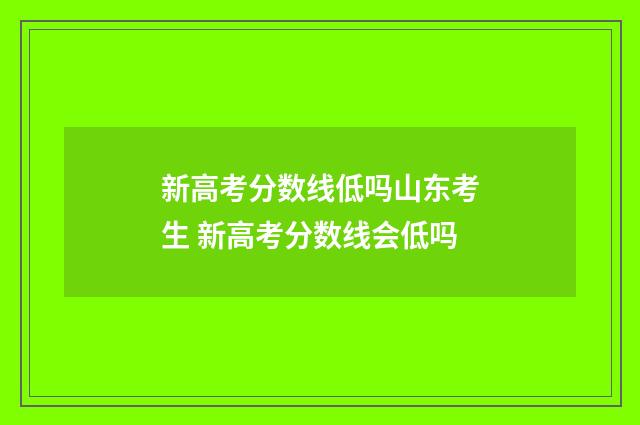 新高考分数线低吗山东考生 新高考分数线会低吗