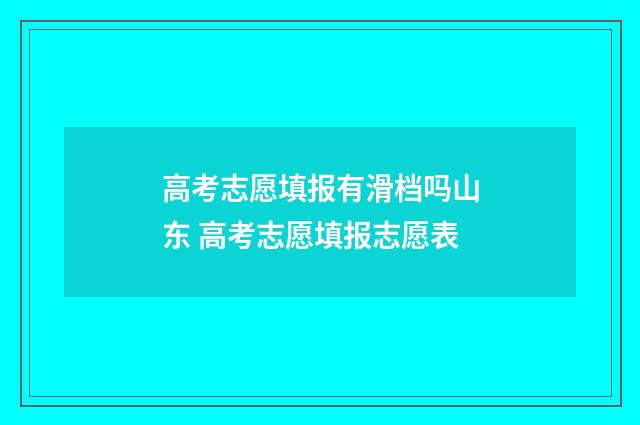 高考志愿填报有滑档吗山东 高考志愿填报志愿表