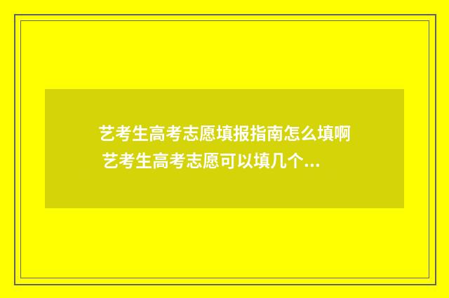 艺考生高考志愿填报指南怎么填啊 艺考生高考志愿可以填几个学校