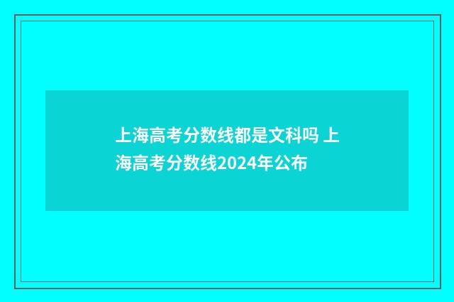 上海高考分数线都是文科吗 上海高考分数线2024年公布