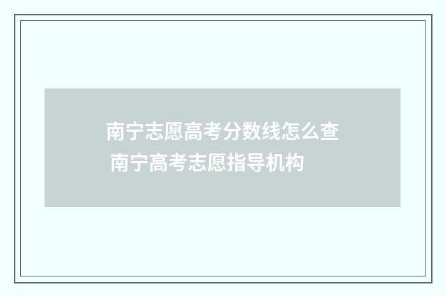 南宁志愿高考分数线怎么查 南宁高考志愿指导机构