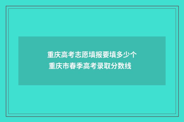 重庆高考志愿填报要填多少个 重庆市春季高考录取分数线