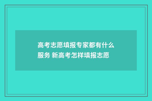 高考志愿填报专家都有什么服务 新高考怎样填报志愿