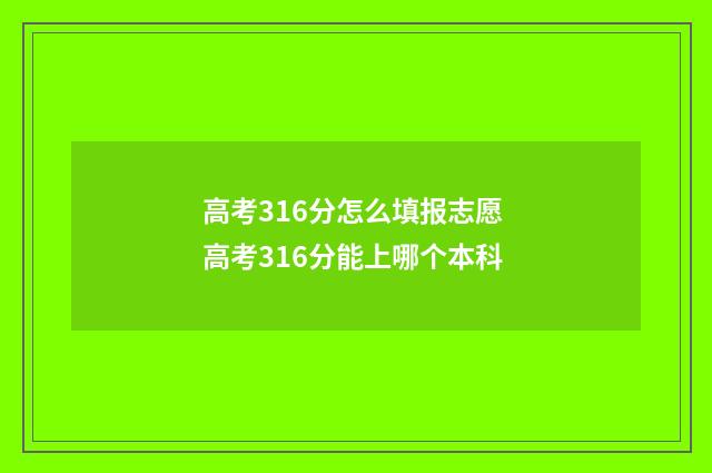 高考316分怎么填报志愿 高考316分能上哪个本科