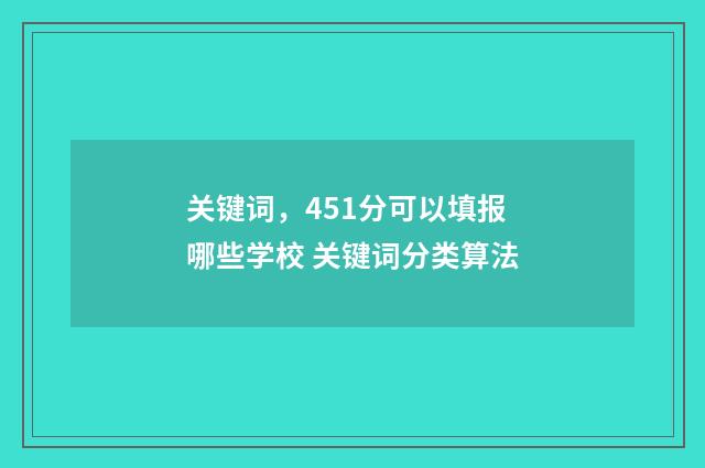 关键词，451分可以填报哪些学校 关键词分类算法