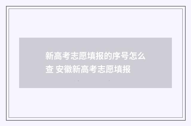 新高考志愿填报的序号怎么查 安徽新高考志愿填报