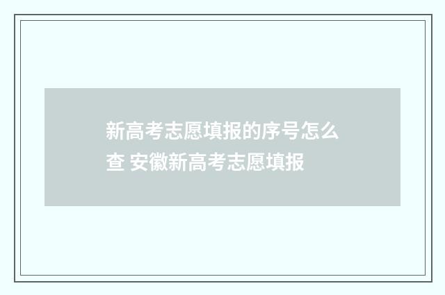 新高考志愿填报的序号怎么查 安徽新高考志愿填报