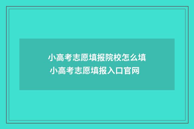 小高考志愿填报院校怎么填 小高考志愿填报入口官网