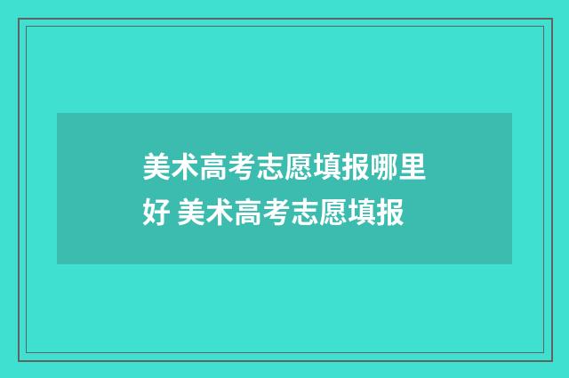 美术高考志愿填报哪里好 美术高考志愿填报