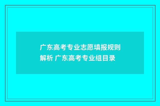 广东高考专业志愿填报规则解析 广东高考专业组目录