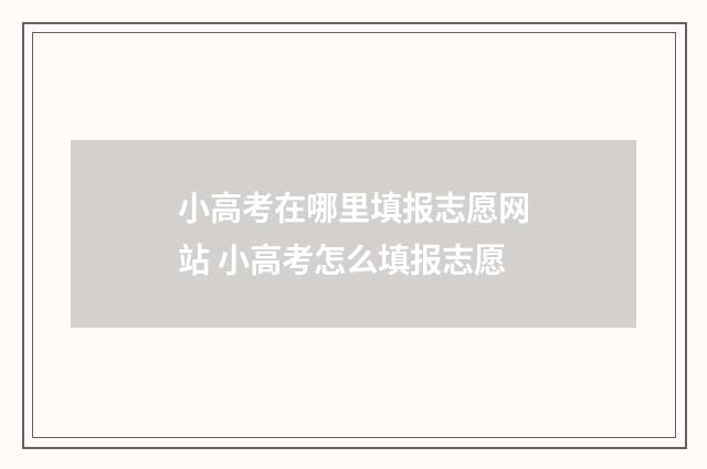 小高考在哪里填报志愿网站 小高考怎么填报志愿
