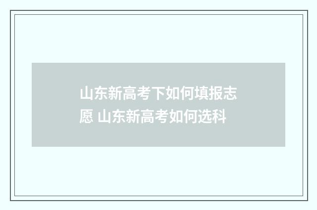 山东新高考下如何填报志愿 山东新高考如何选科
