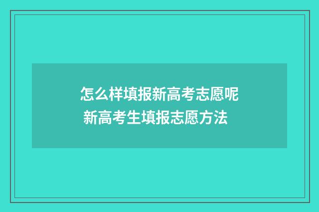 怎么样填报新高考志愿呢 新高考生填报志愿方法