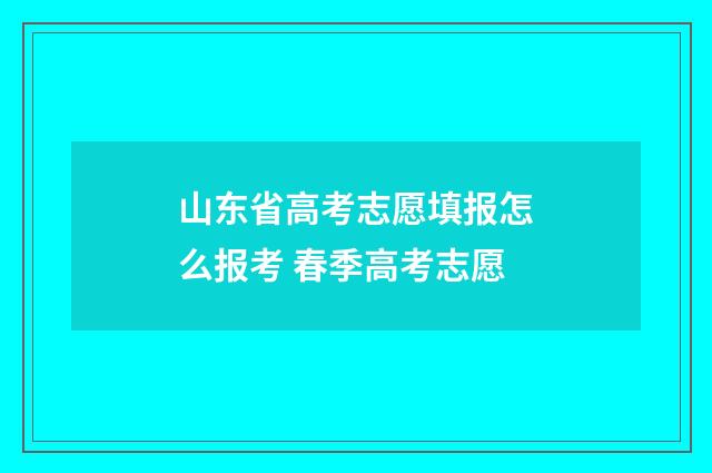 山东省高考志愿填报怎么报考 春季高考志愿