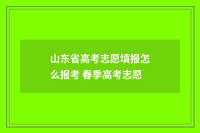 山东省高考志愿填报怎么报考 春季高考志愿