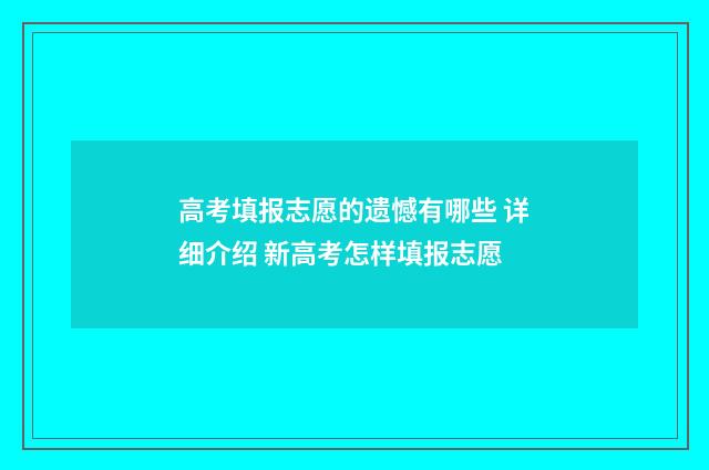 高考填报志愿的遗憾有哪些 详细介绍 新高考怎样填报志愿