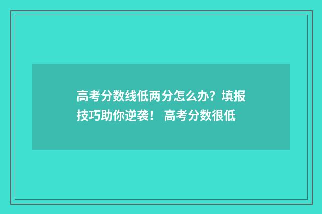 高考分数线低两分怎么办？填报技巧助你逆袭！ 高考分数很低