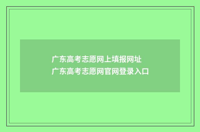 广东高考志愿网上填报网址 广东高考志愿网官网登录入口