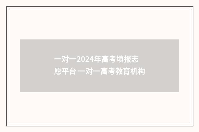 一对一2024年高考填报志愿平台 一对一高考教育机构