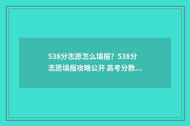 538分志愿怎么填报？538分志愿填报攻略公开 高考分数线538能报什么大学