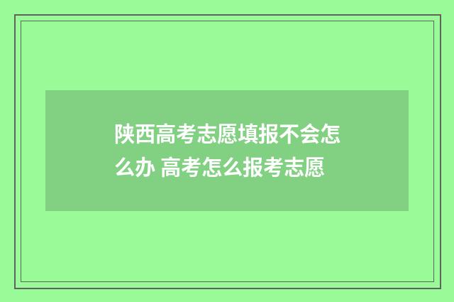 陕西高考志愿填报不会怎么办 高考怎么报考志愿