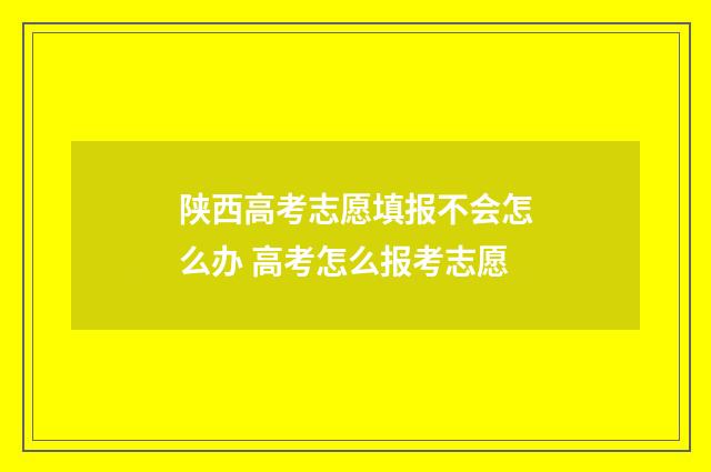 陕西高考志愿填报不会怎么办 高考怎么报考志愿