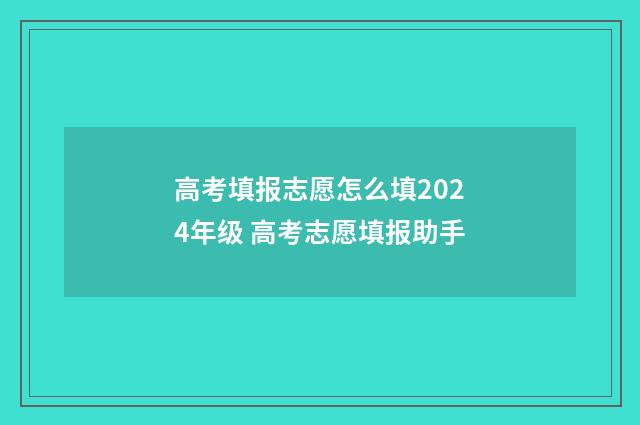 高考填报志愿怎么填2024年级 高考志愿填报助手