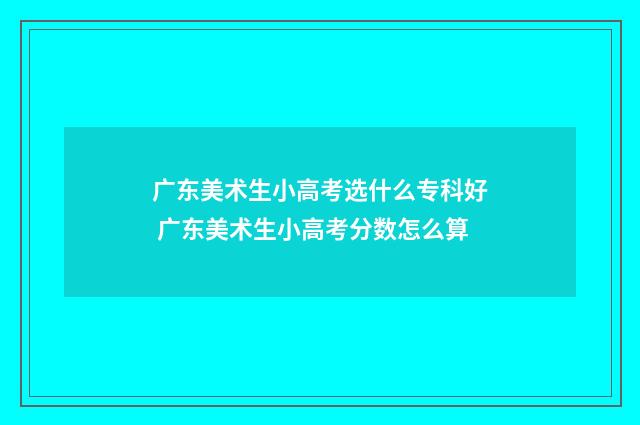 广东美术生小高考选什么专科好 广东美术生小高考分数怎么算