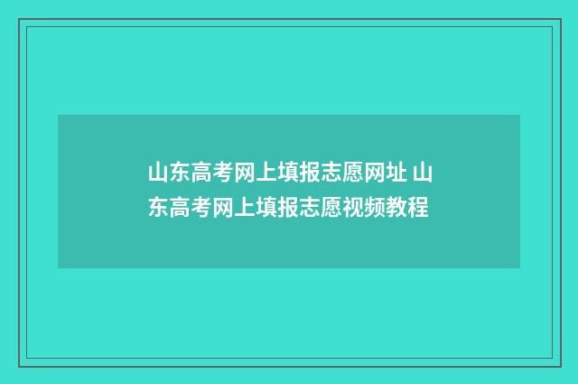 山东高考网上填报志愿网址 山东高考网上填报志愿视频教程