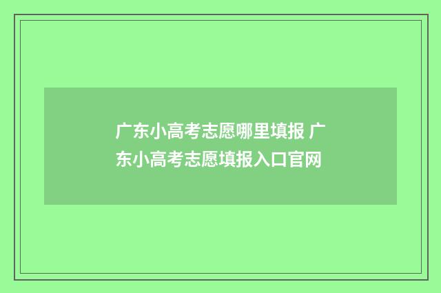 广东小高考志愿哪里填报 广东小高考志愿填报入口官网