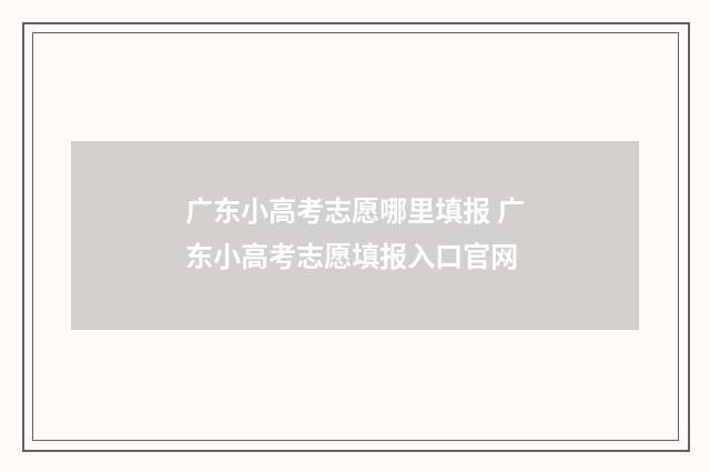 广东小高考志愿哪里填报 广东小高考志愿填报入口官网