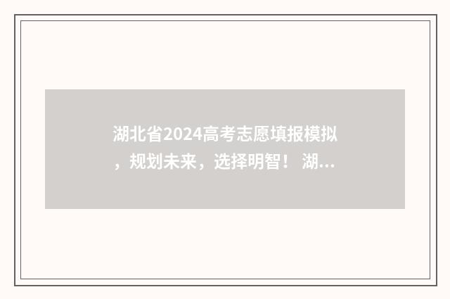 湖北省2024高考志愿填报模拟，规划未来，选择明智！ 湖北省2024高考人数是多少人
