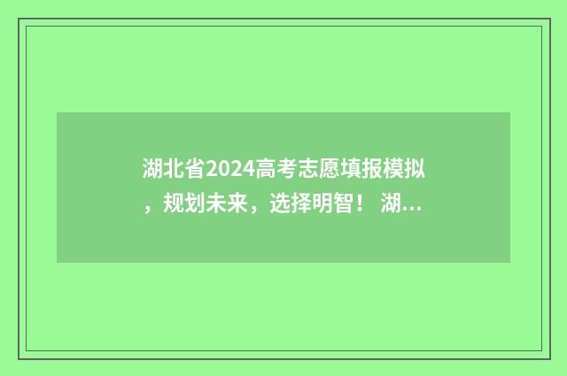 湖北省2024高考志愿填报模拟，规划未来，选择明智！ 湖北省2024高考人数是多少人
