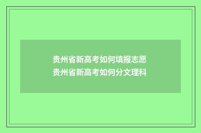 贵州省新高考如何填报志愿 贵州省新高考如何分文理科