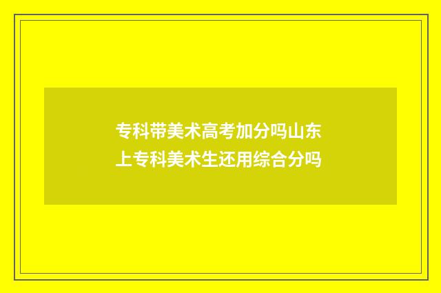 专科带美术高考加分吗山东 上专科美术生还用综合分吗