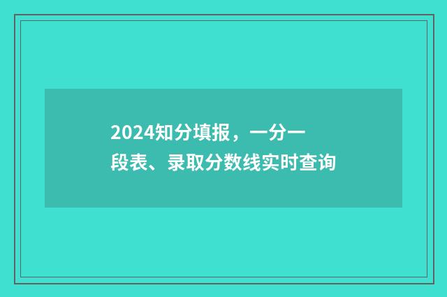 2024知分填报，一分一段表、录取分数线实时查询