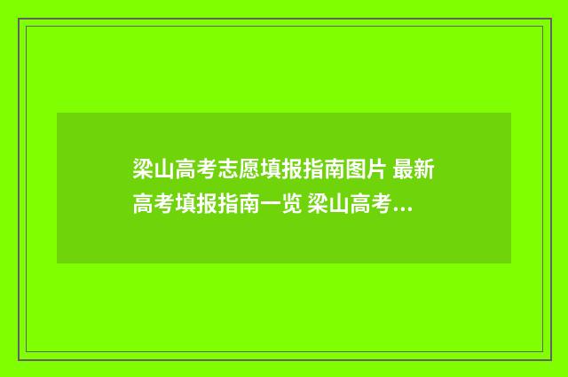 梁山高考志愿填报指南图片 最新高考填报指南一览 梁山高考志愿填报机构手机号码