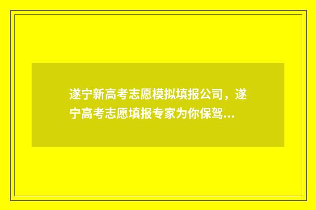 遂宁新高考志愿模拟填报公司，遂宁高考志愿填报专家为你保驾护航 遂宁市高考