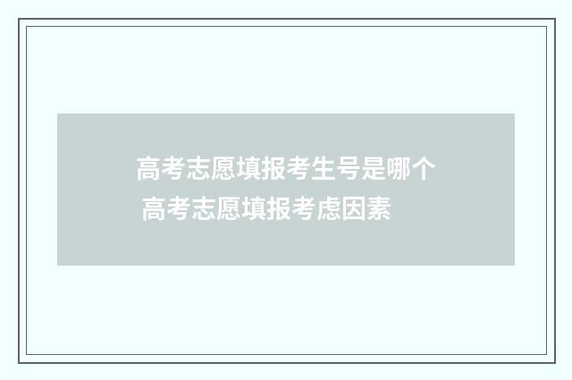 高考志愿填报考生号是哪个 高考志愿填报考虑因素