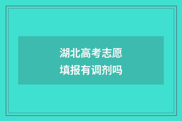湖北高考志愿填报有调剂吗