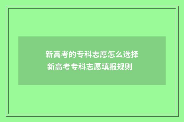 新高考的专科志愿怎么选择 新高考专科志愿填报规则