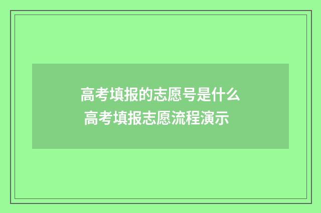高考填报的志愿号是什么 高考填报志愿流程演示