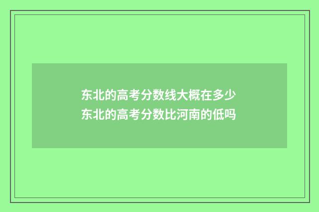 东北的高考分数线大概在多少 东北的高考分数比河南的低吗